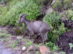 01092007249.jpg