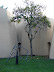 Figura móvil, Museo Rayo Figura móvil, Museo Rayo