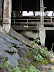 Ruinas de antigua fábrica de Cementos Caldas Ruinas de antigua fábrica de Cementos Caldas