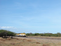 El tren del Cerrejón
