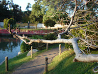 Jardín Japonés Jardín Japonés