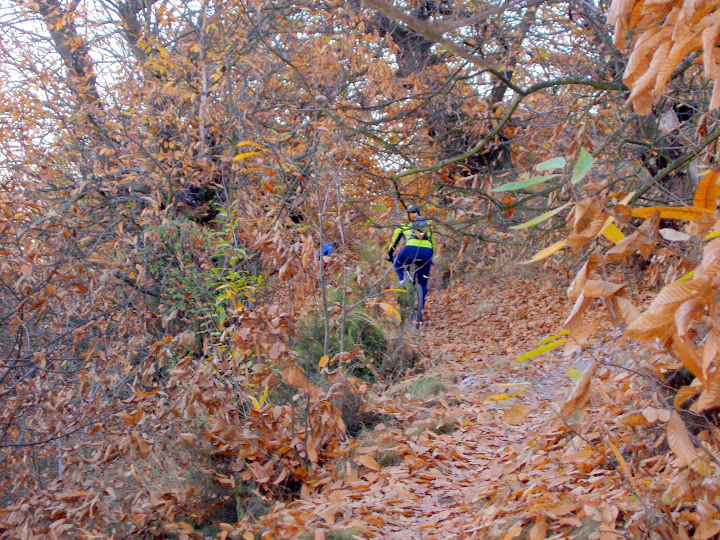 Casta&ntilde;os en oto&ntilde;o en El Pajariel