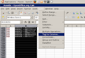 OOo 2.4 Calc