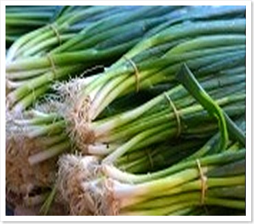 Spring onion recipes