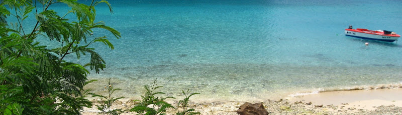 Shoreline of Bonaire