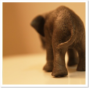 elephant 1