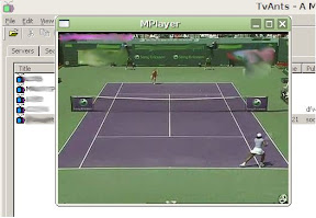 P2P TV