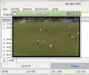 P2P TV