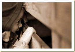 aaron sepia behind the shed