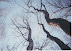 image-3.jpg