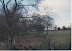 image-6.jpg