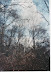 image-7.jpg