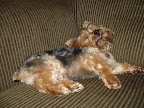 DSC01441.JPG