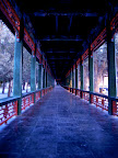 DSCN0175.jpg