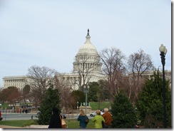 View of the capitol