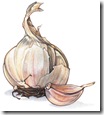 garlic