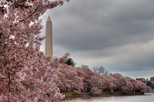 [IMG_6495_6_7_Tonemapped[3].jpg]