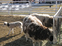 March08 167