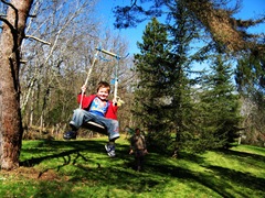 SwingJames