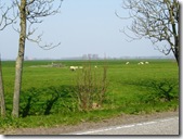 Countryside outside Leeuwarden 1