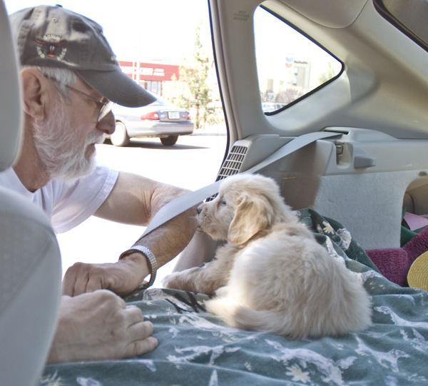 DSC_0104 dave making a bed for cody to lay down in back of prius en az.jpg
