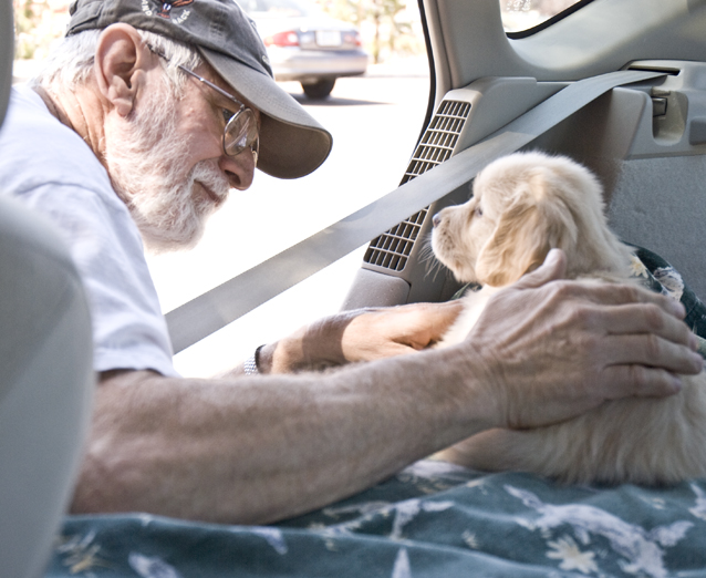 DSC_0106 loving look on dave s face as he reassures cody in his new bed in the back seat of the prius en az.jpg