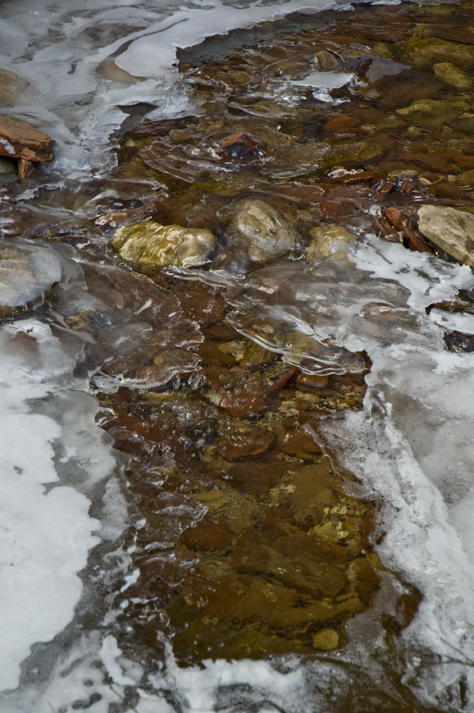 DSC_6817 ice across oak creek west fork trail en az.jpg