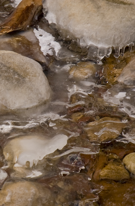 DSC_6827 ice on rocks in oak creek west fork trail en az.jpg