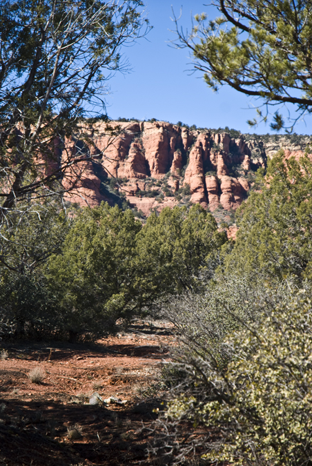 DSC_0030 redrocks with juniper as a frame en az.jpg