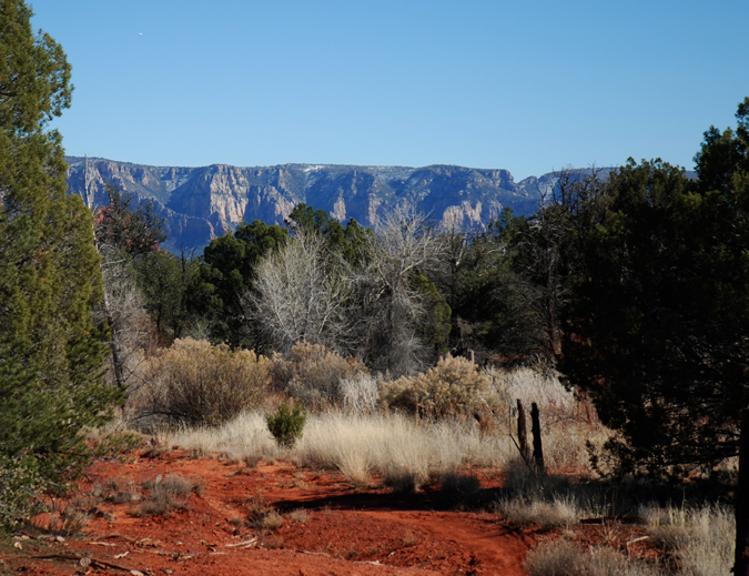 DSC_0066 sacred place with white grass and sheeps fat bush en az.jpg