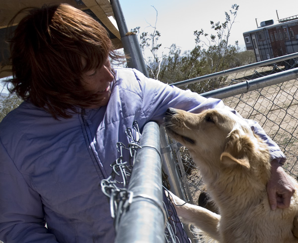 DSC_0103 dolly with renee mother of cody dave s puppy en az.jpg