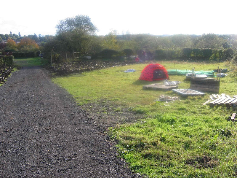 plot281007
