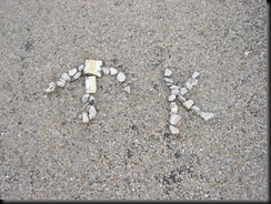 CIMG4626