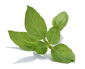 basil - supefood