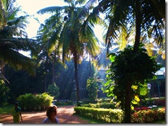 CIMG0080