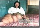 kaki-gajah-2