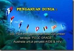 pengakuandunia