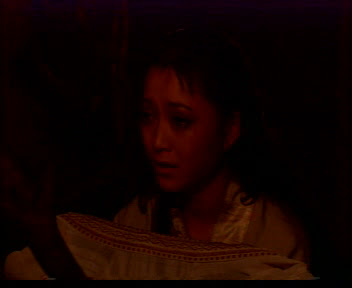 [电视酷评]永远的痴狂--《<em>甘十九妹</em>》_影视评论