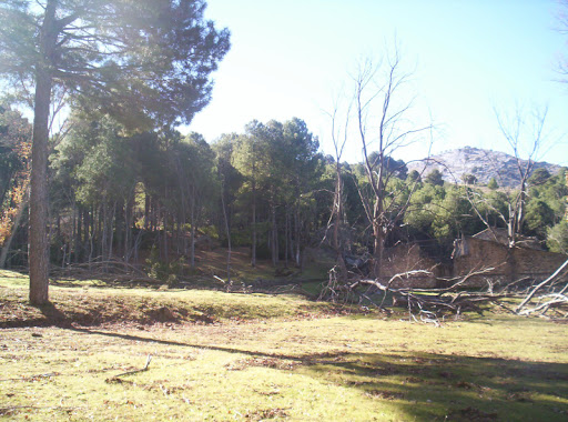 prado redondo
