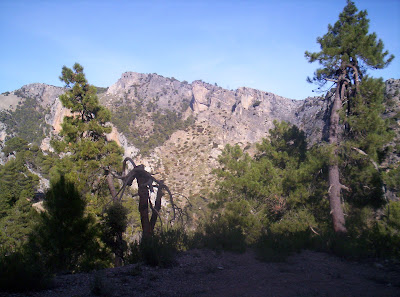 Navaltazo