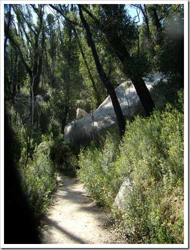 0710Wilsons Promontory 079