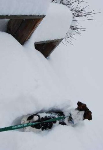 1-21-08snowday2