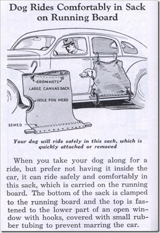 lrg_dog_car_sack