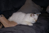 DSC05038.JPG