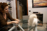 DSC05067.JPG