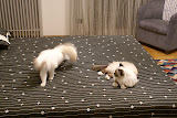DSC05166.JPG