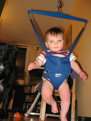Eight Month Old Kuba Jolly Jumping