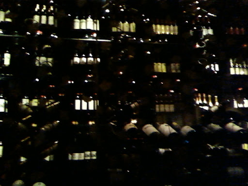 We sat at a long table along this wine cellar/display.
