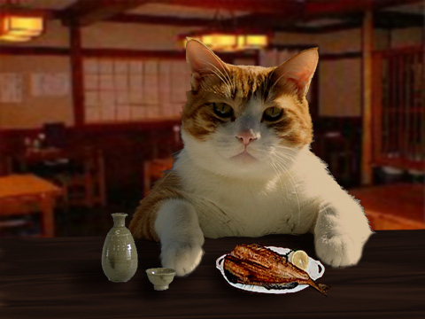 自分の写真