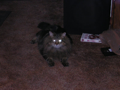 DSCN0849.JPG